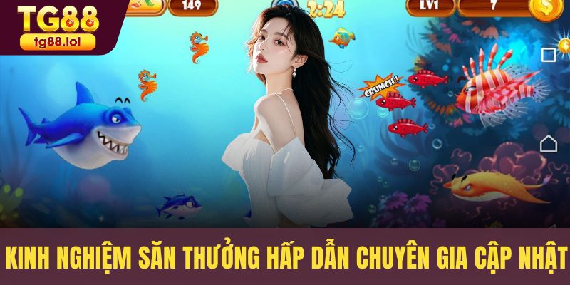 Kinh nghiệm săn thưởng hấp dẫn chuyên gia cập nhật